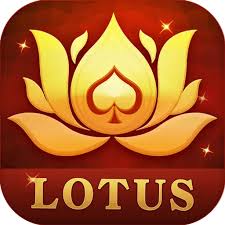 teen patti ubs download